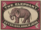 elephant017