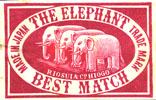 elephant048