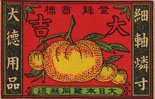 fruit004